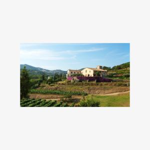 Boat tour to the vineyards with wine tasting from Barcelona (Trio Explorer Package)